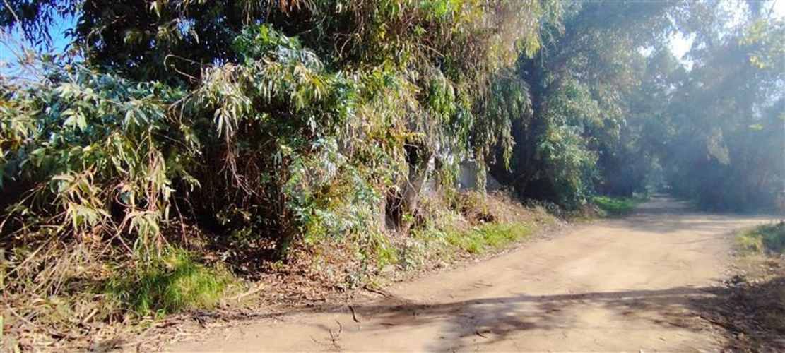 SITIO Las Perdices 5021