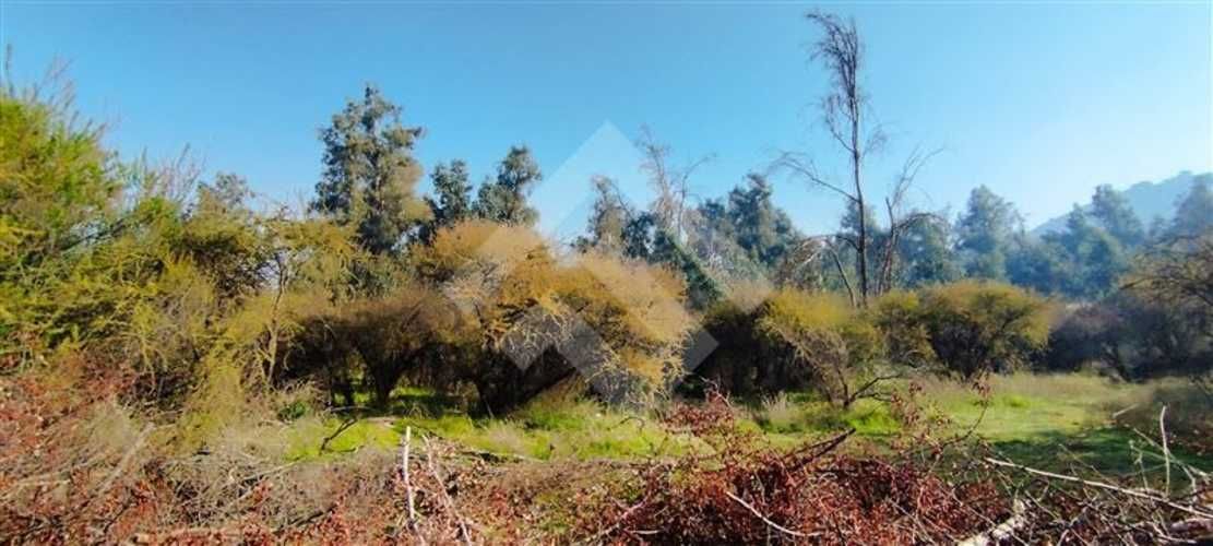 SITIO Las Perdices 5021