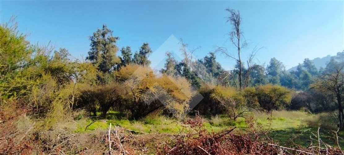 SITIO Las Perdices 5021