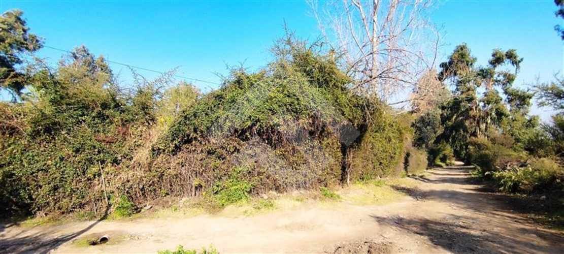 SITIO Las Perdices 5021