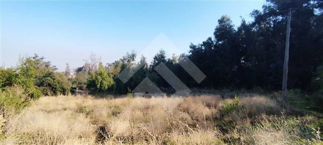 SITIO Las Perdices 5021