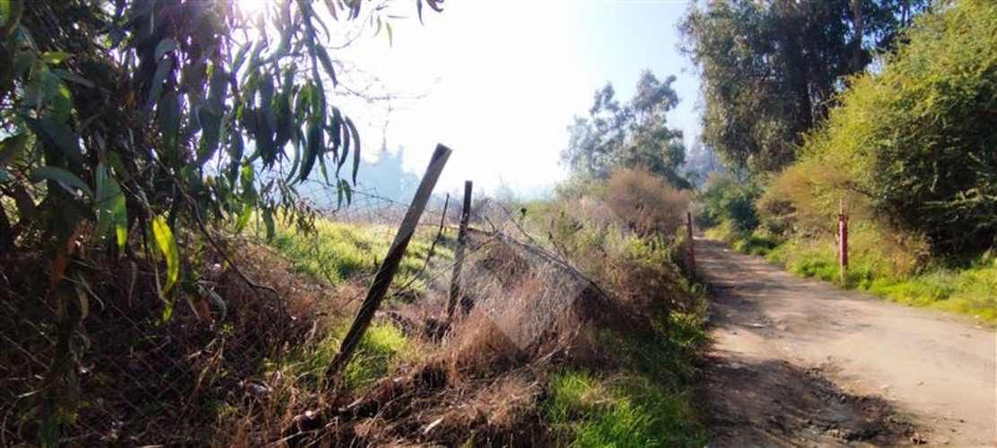 SITIO Las Perdices 5021