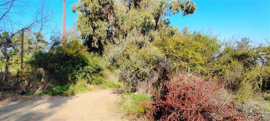 SITIO Las Perdices 5021