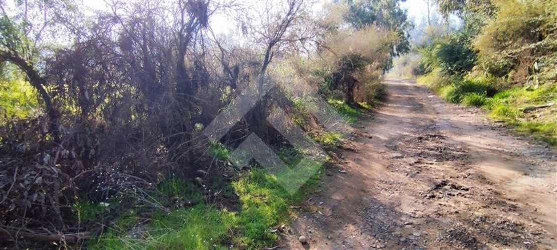 SITIO Las Perdices 5021