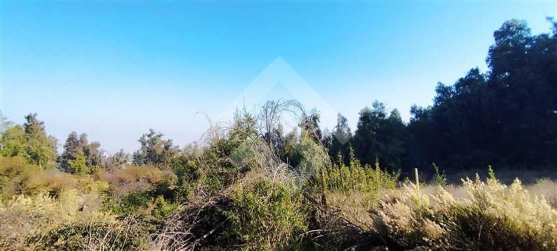 SITIO Las Perdices 5021