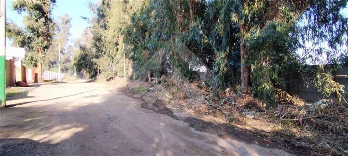 SITIO Las Perdices 5021