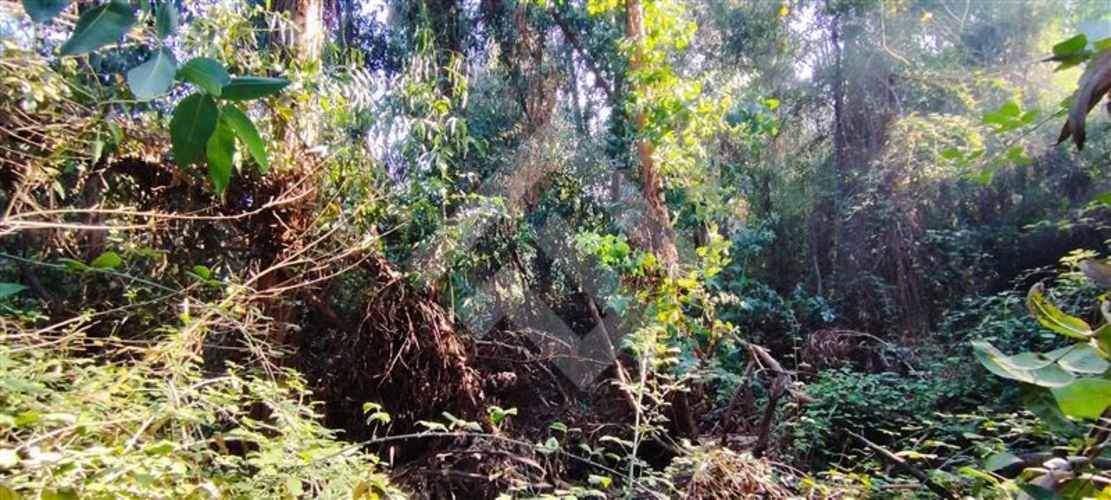 SITIO Las Perdices 5021