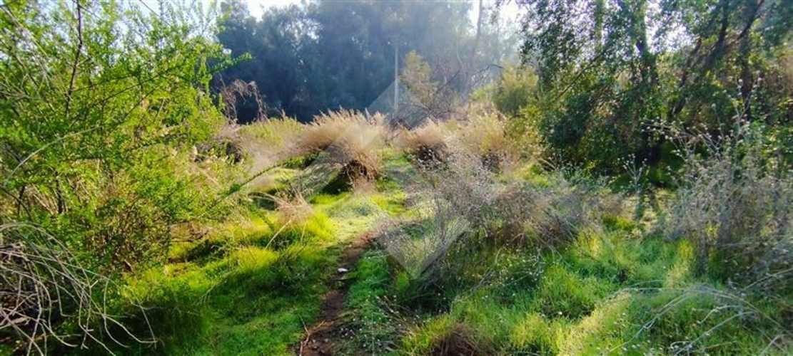 SITIO Las Perdices 5021