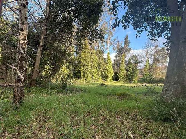 SITIO Condominio Las Lomas Puerto Varas