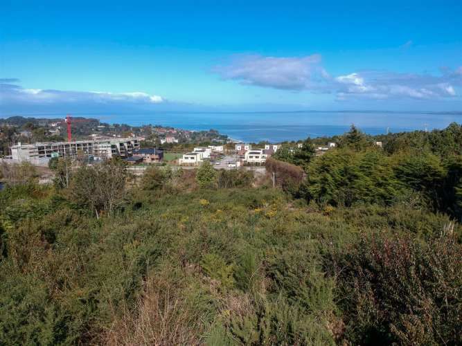 SITIO Lomas de Reloncavi