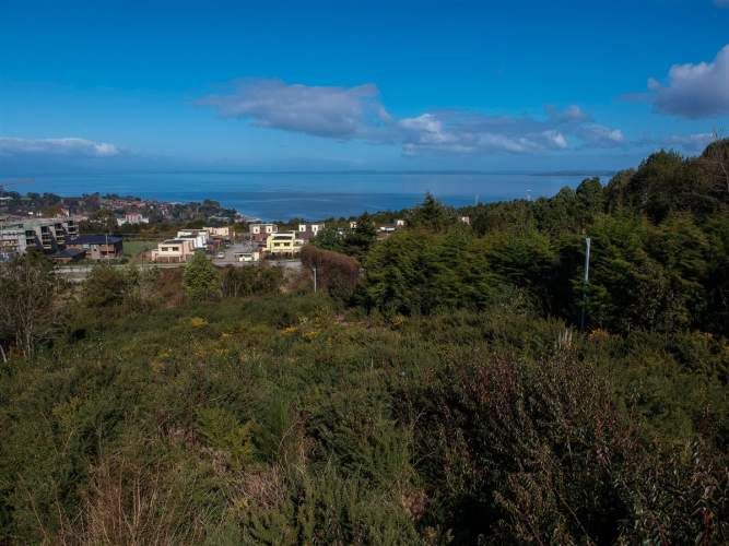 SITIO Lomas de Reloncavi