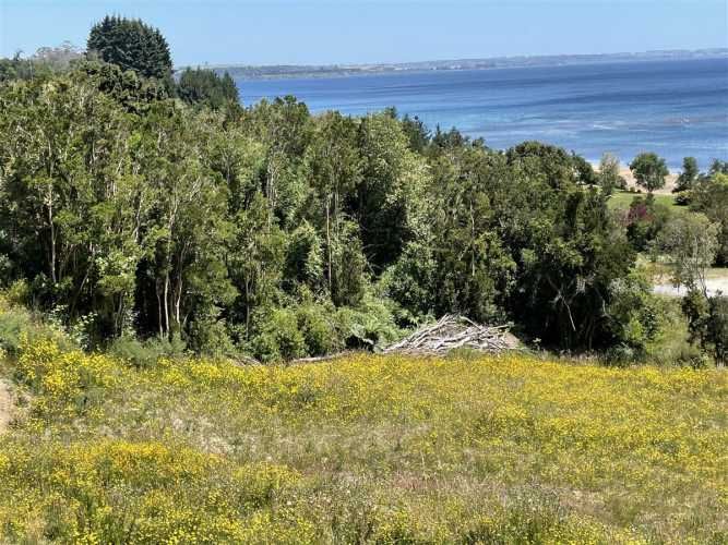 PARCELA Condominio Borde Sur