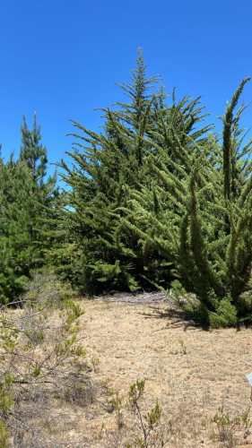 PARCELA Puertas de Puertecillo
