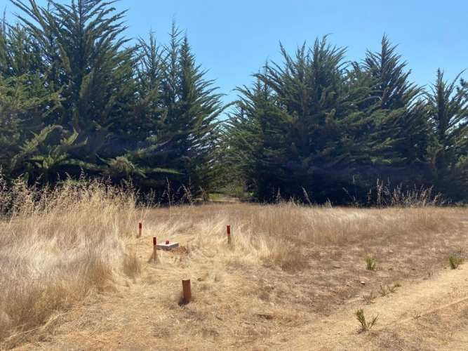 PARCELA Puertas de Puertecillo