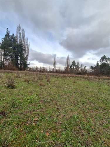 PARCELA Ruta Q-117 Los Angeles Caliboro