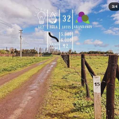 PARCELA Camino A cato km 15. Sector Capilla Cox, Chillan.