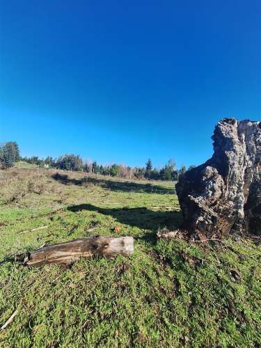 PARCELA Ruta Q-30, los Troncos Los Ángeles