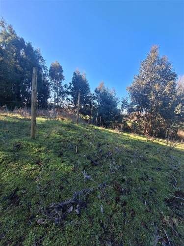 PARCELA Ruta Q-30, los Troncos Los Ángeles