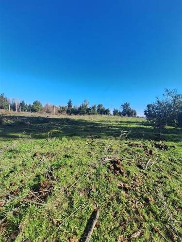 PARCELA Ruta Q-30, los Troncos Los Ángeles