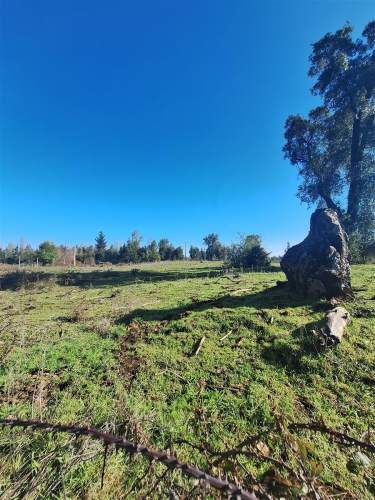 PARCELA Ruta Q-30, los Troncos Los Ángeles