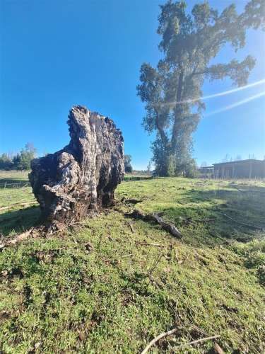 PARCELA Ruta Q-30, los Troncos Los Ángeles