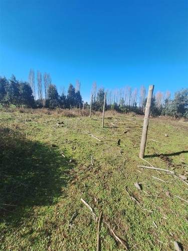 PARCELA Ruta Q-30, los Troncos Los Ángeles