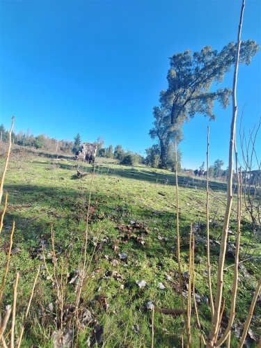 PARCELA Ruta Q-30, los Troncos Los Ángeles