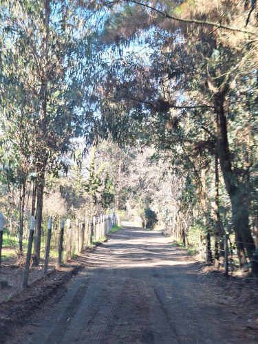 PARCELA Ruta Q-30, los Troncos Los Ángeles