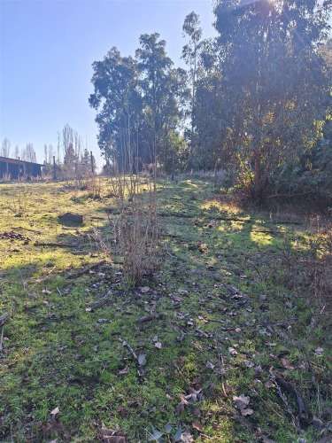 PARCELA Ruta Q-30, los Troncos Los Ángeles