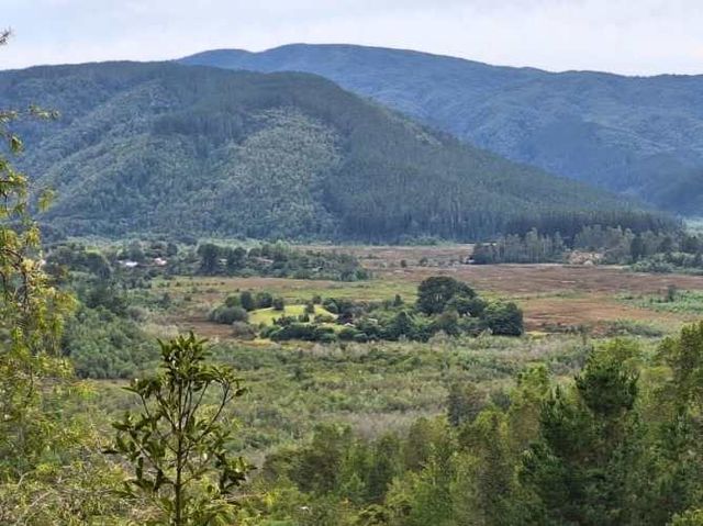 Sitio ALTOS DE PUNUCAPA / VALDIVIA LOS RIOS