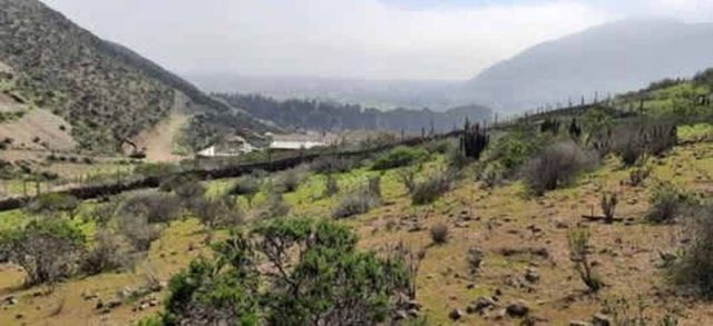 Sitio TERRENO 2.100M2 CONDOMINIO ENCOMENDEROS, CERRO GRANDE