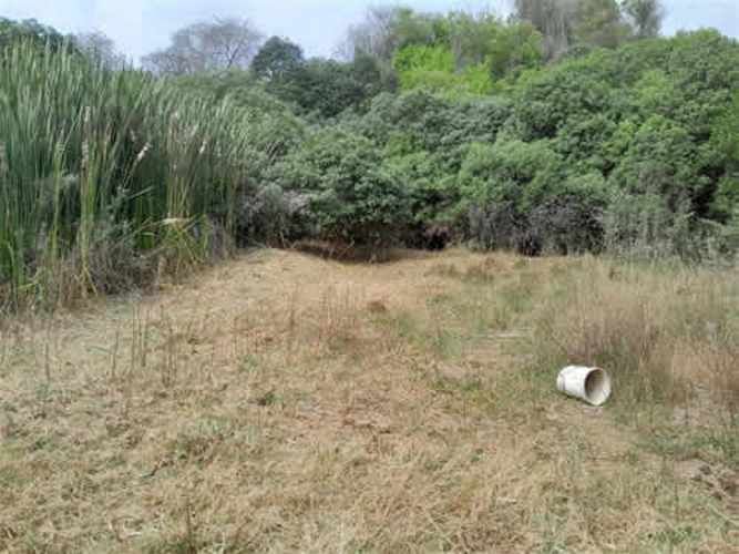 Sitio TERRENO 2 HAS REGIMENTO ARICA