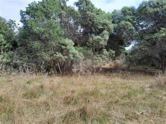 Sitio TERRENO 2 HAS REGIMENTO ARICA