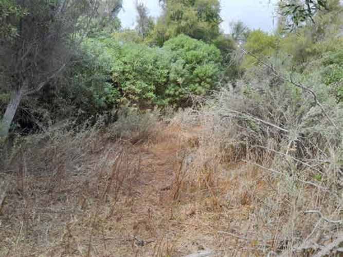 Sitio TERRENO 2 HAS REGIMENTO ARICA