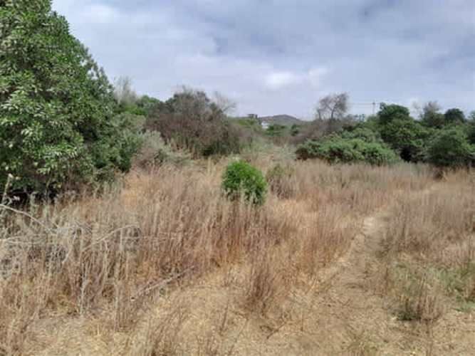 Sitio TERRENO 2 HAS REGIMENTO ARICA