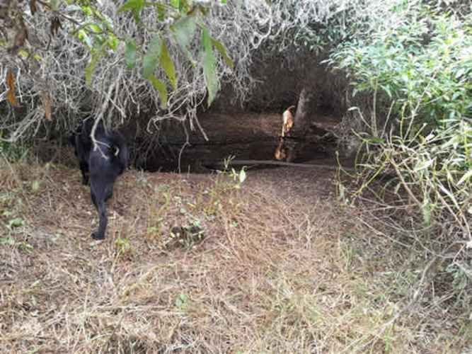 Sitio TERRENO 2 HAS REGIMENTO ARICA