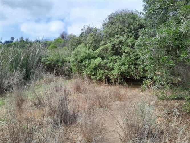 Sitio TERRENO 2 HAS REGIMENTO ARICA