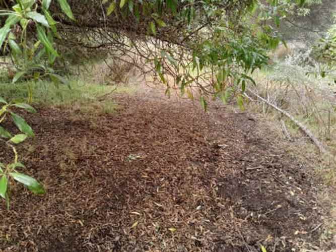 Sitio TERRENO 2 HAS REGIMENTO ARICA