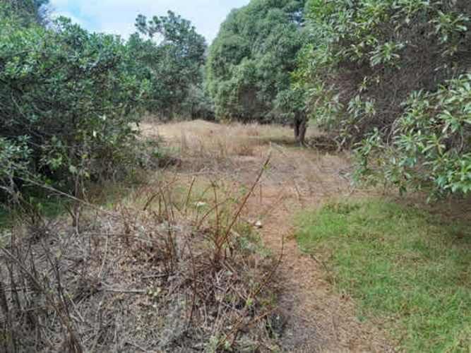 Sitio TERRENO 2 HAS REGIMENTO ARICA