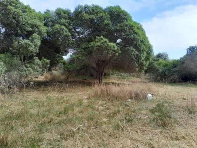 Sitio TERRENO 2 HAS REGIMENTO ARICA