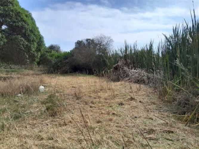 Sitio TERRENO 2 HAS REGIMENTO ARICA