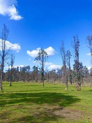 Parcela PARCELAS EN CHILLÁN ROL PROPIO PLANAS EN OFERTA 5000M2