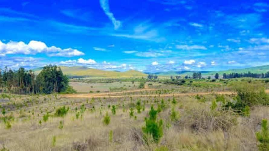 Parcela PARCELAS HERMOSAS A MINUTOS PLAYA Y LAGUNA TORCA, 5000M2 ROL