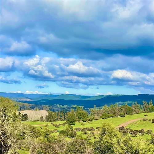 Parcela PARCELAS HERMOSAS A MINUTOS PLAYA Y LAGUNA TORCA, 5000M2 ROL