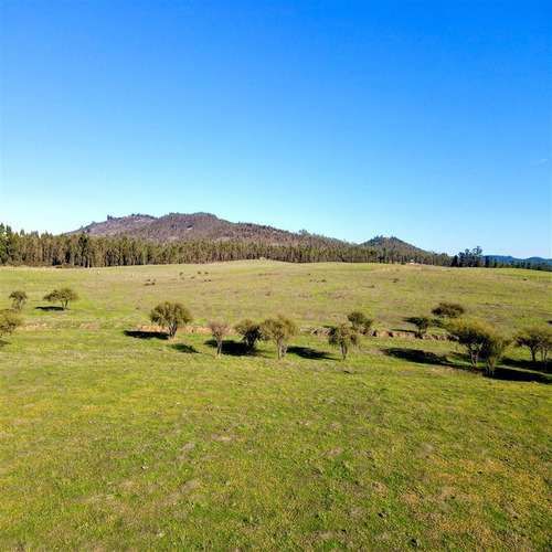 Parcela PARCELAS HERMOSAS A MINUTOS PLAYA Y LAGUNA TORCA, 5000M2 ROL