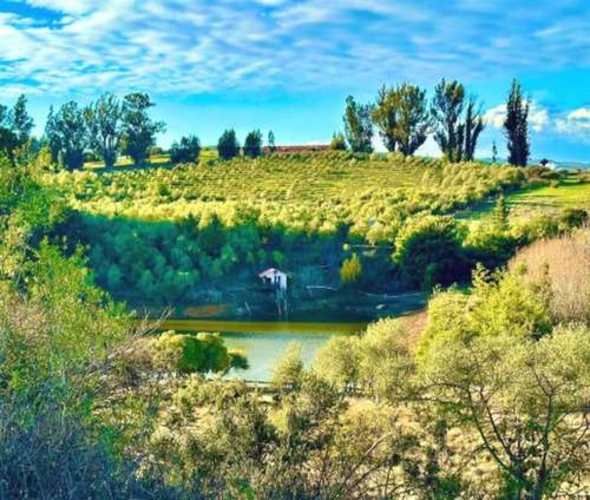 Parcela PARCELAS HERMOSAS A MINUTOS PLAYA Y LAGUNA TORCA, 5000M2 ROL