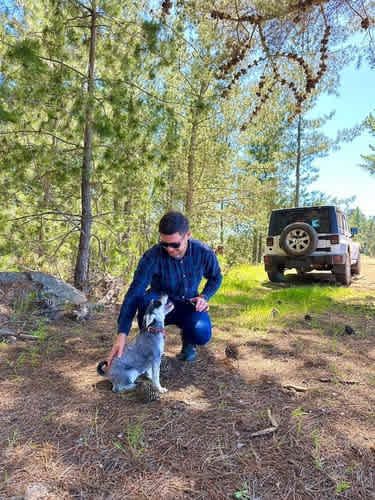 Parcela PARCELAS HERMOSAS A MINUTOS PLAYA Y LAGUNA TORCA, 5000M2 ROL