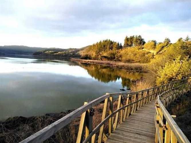 Parcela PARCELAS HERMOSAS A MINUTOS PLAYA Y LAGUNA TORCA, 5000M2 ROL