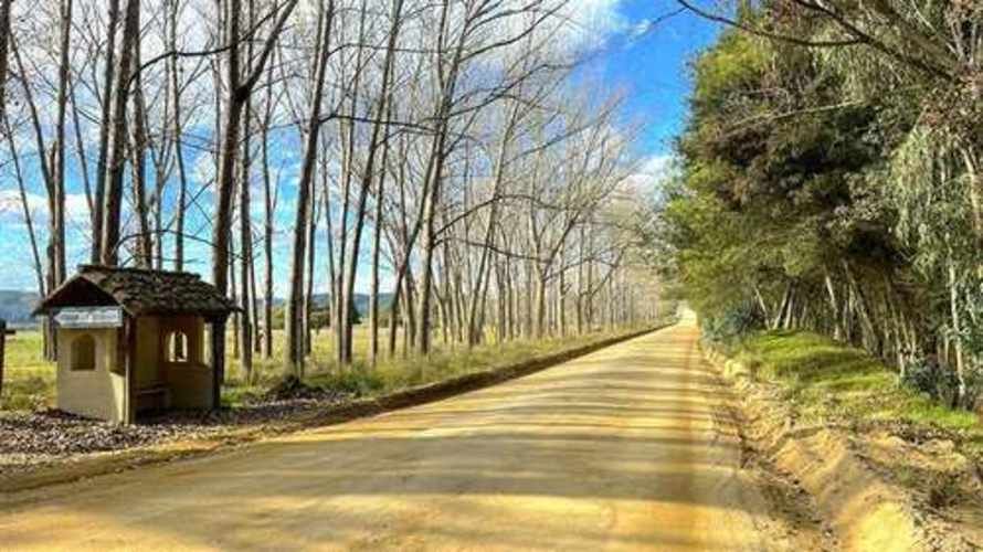 Parcela PARCELAS HERMOSAS A MINUTOS PLAYA Y LAGUNA TORCA, 5000M2 ROL