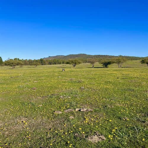 Parcela PARCELAS HERMOSAS A MINUTOS PLAYA Y LAGUNA TORCA, 5000M2 ROL